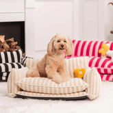 Paw Portal Kedi Köpek Koltuğu - MeanYou